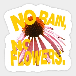 No Rain No Flowers Sticker